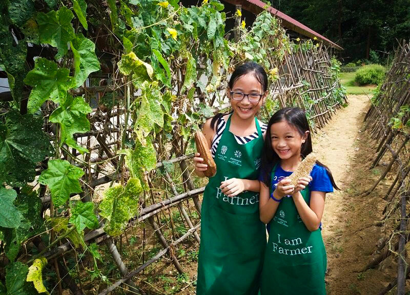 Embrace the vibrant energy of Vietnam’s cultural heritage